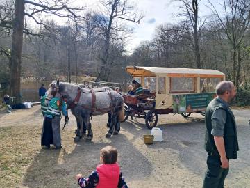 Ambassadeur de la Forêt de Soignes - L'expo-mobile gratuite * FESTIVAL FORÊT DE SOIGNES 2025