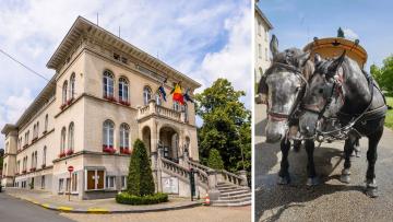 Le Coin du Balai, un témoin vivant entre ville et nature (balade en calèche)