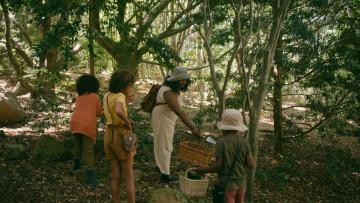 Il était une fois la forêt (à partir de 6 ans) * FESTIVAL FORÊT DE SOIGNES 2025