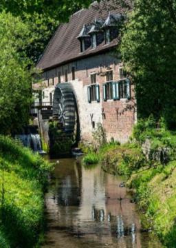 NOUVEAU ! Les phénix de Grimbergen
