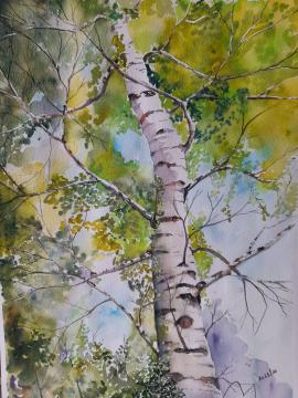 FORÊT DE SOIGNES * Aquarelle en forêt (visite et atelier)