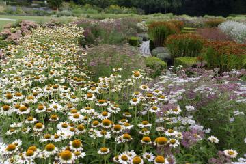 Toutes les couleurs sont dans la nature