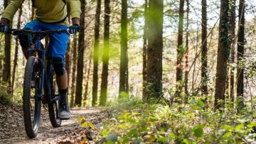 Balade à vélo jusque Groenendael * FESTIVAL FORÊT DE SOIGNES 2025