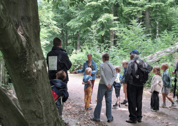 RENATURE TIME ! * Il était une fois la forêt (gratuit)